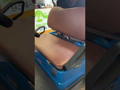 4-PASSENGER GOLF CART USED YEAR  2022 LIKE NEW!